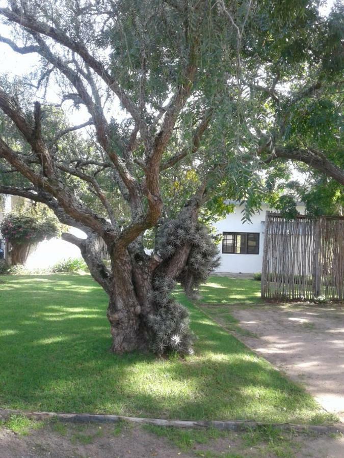 Guinea Fowl Villa Plettenberg Bay Exterior photo